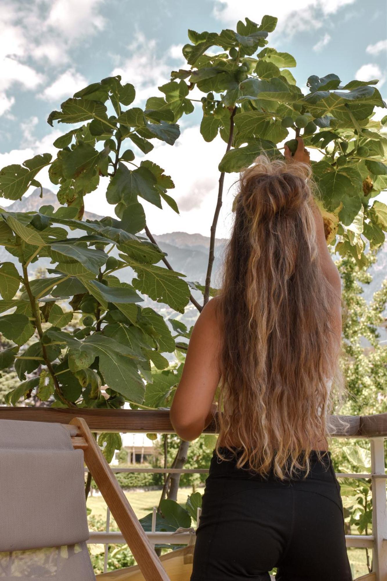 Alpimena Natur-Apartments Meran 外观 照片